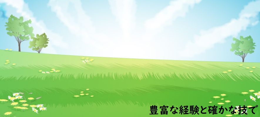 スライドショー画像